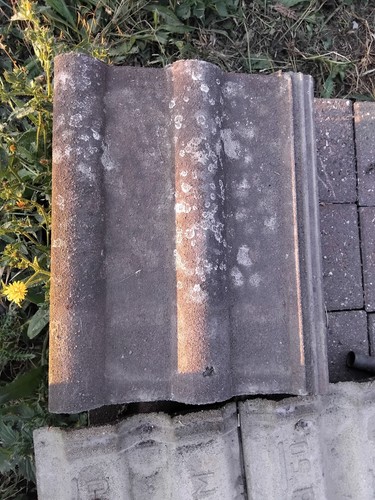 Redland roofing tiles - roofing,